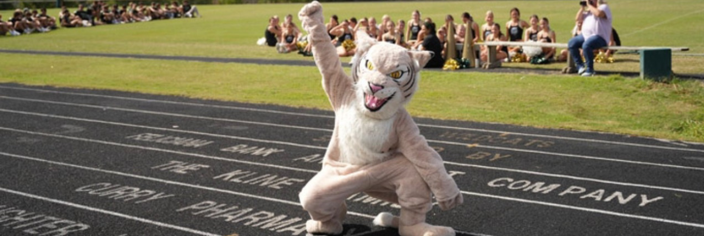 Image of Willie the Wildcat on the track posing